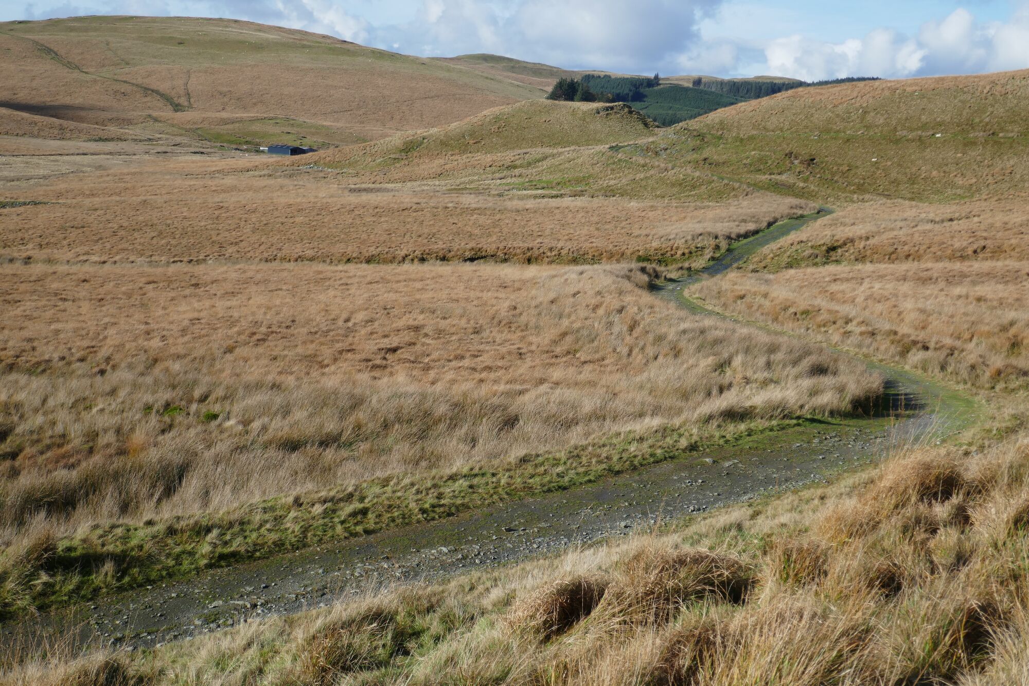 RachelSeabrook.net | Wild Walking | Cwm Hengwm | pic29
